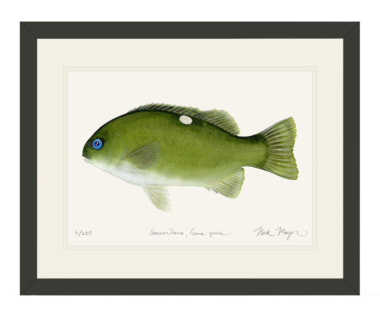 Opaleye Limited Edition Print