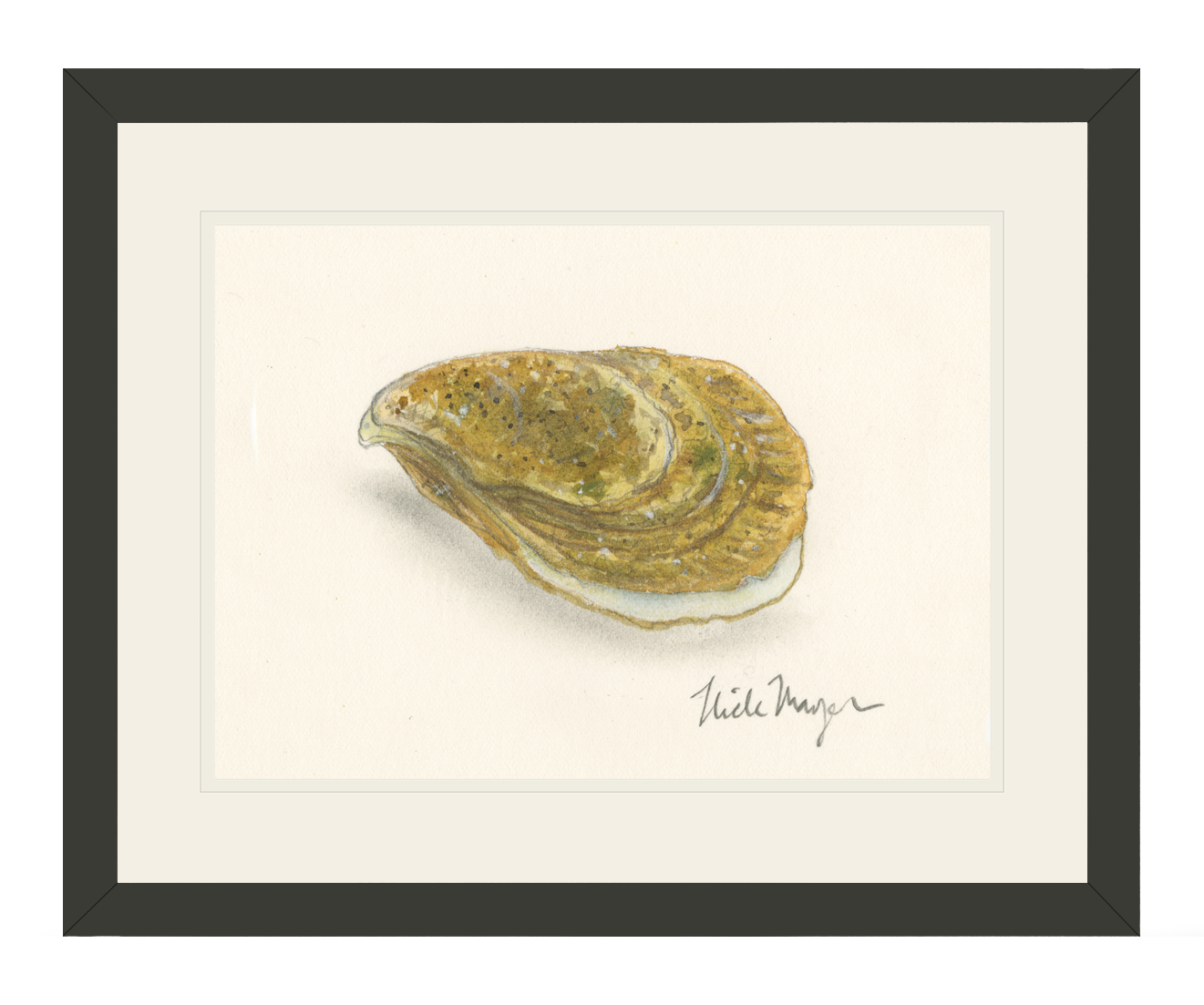 Atlantic Oyster II Limited Edition Print