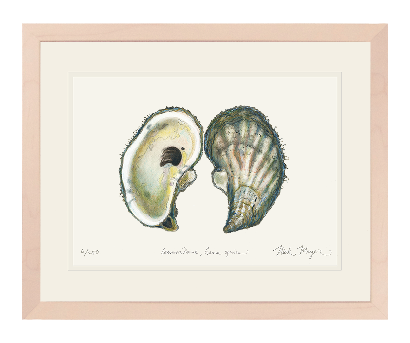 Atlantic Oyster I Limited Edition Print