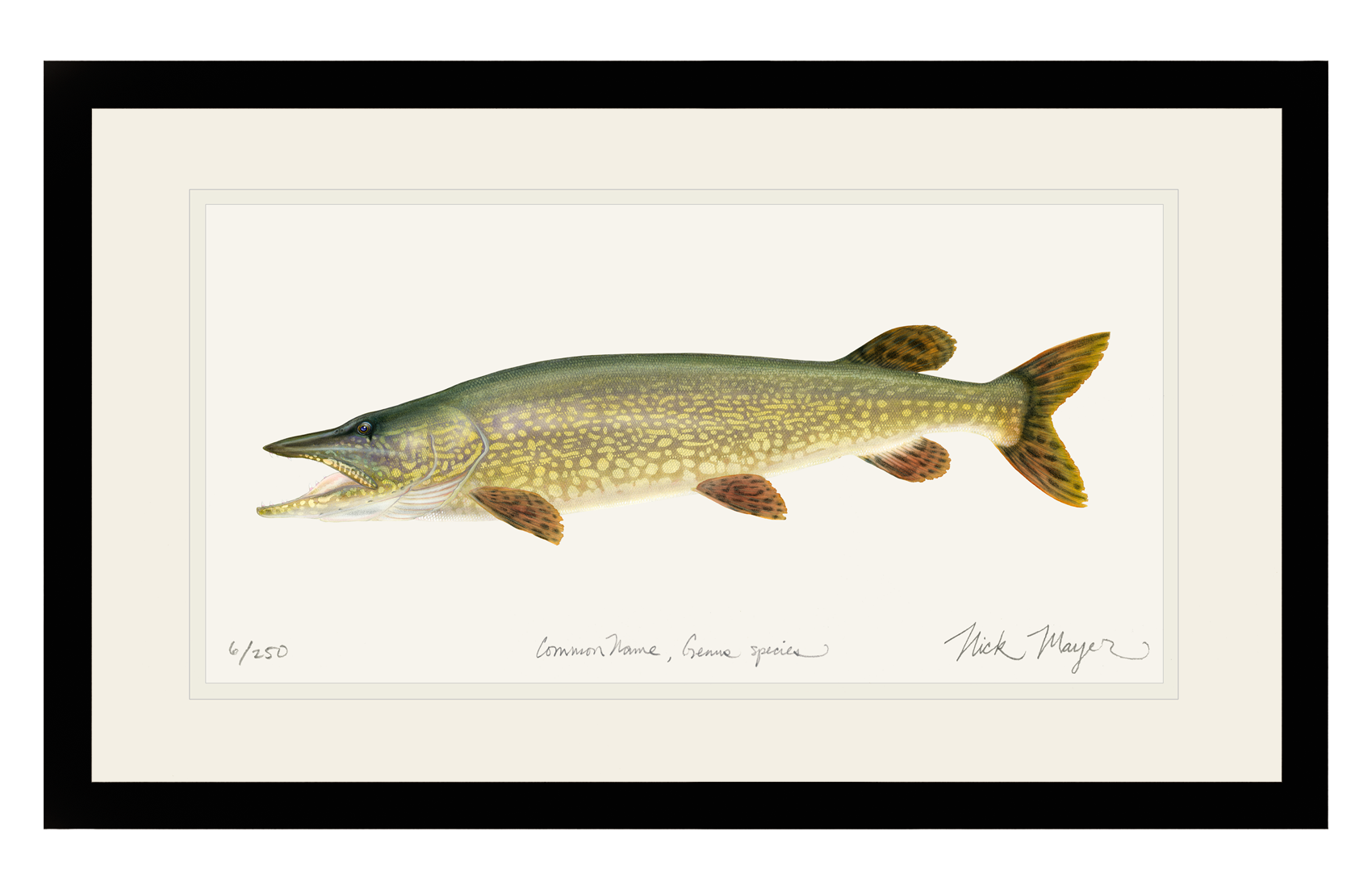 Northern Pike Limited Edition Print