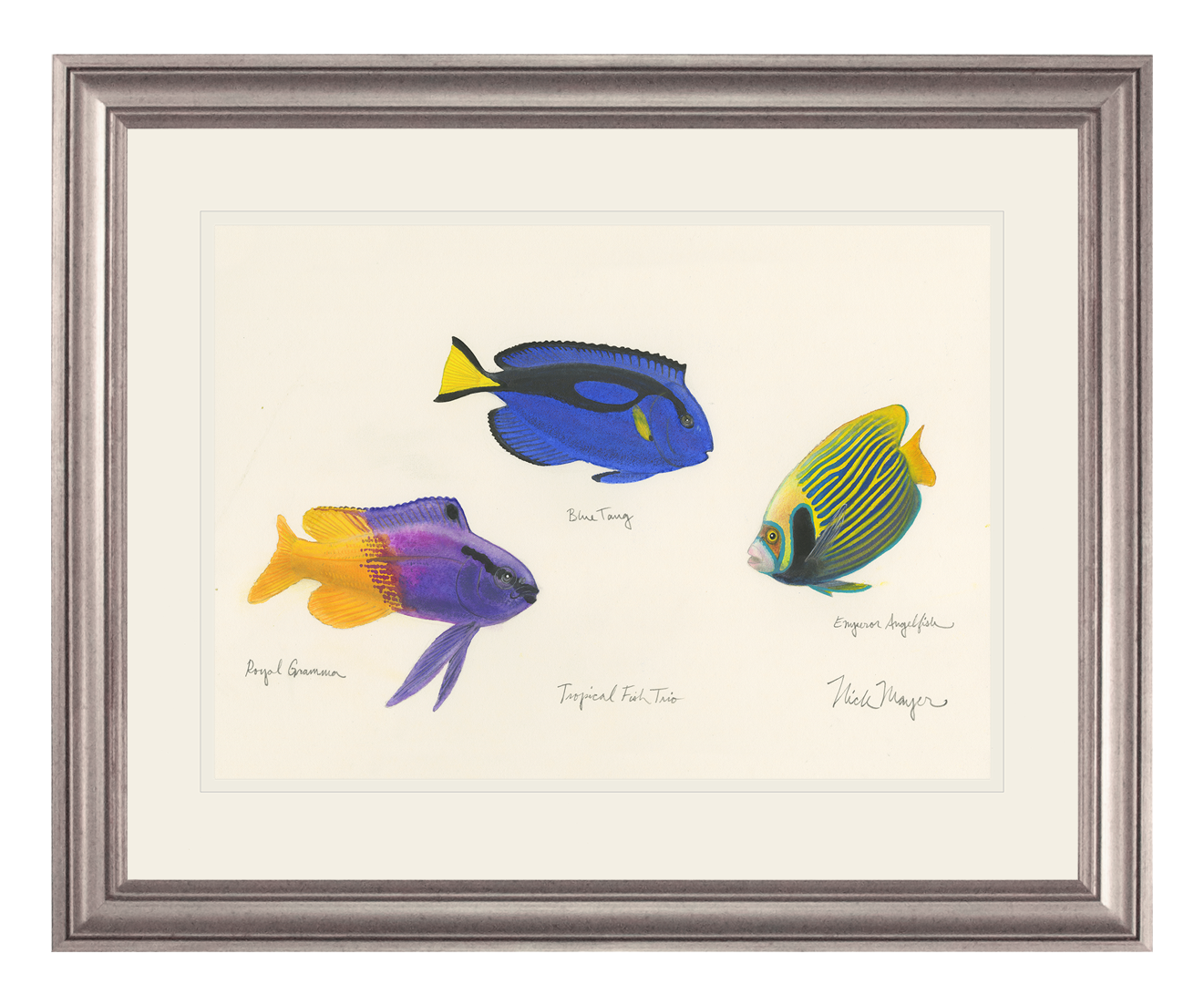 Tropical Fish Trio