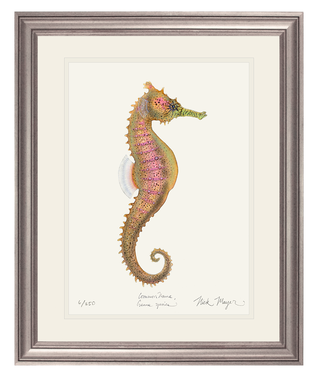 Estuary Seahorse Limited Edition Print