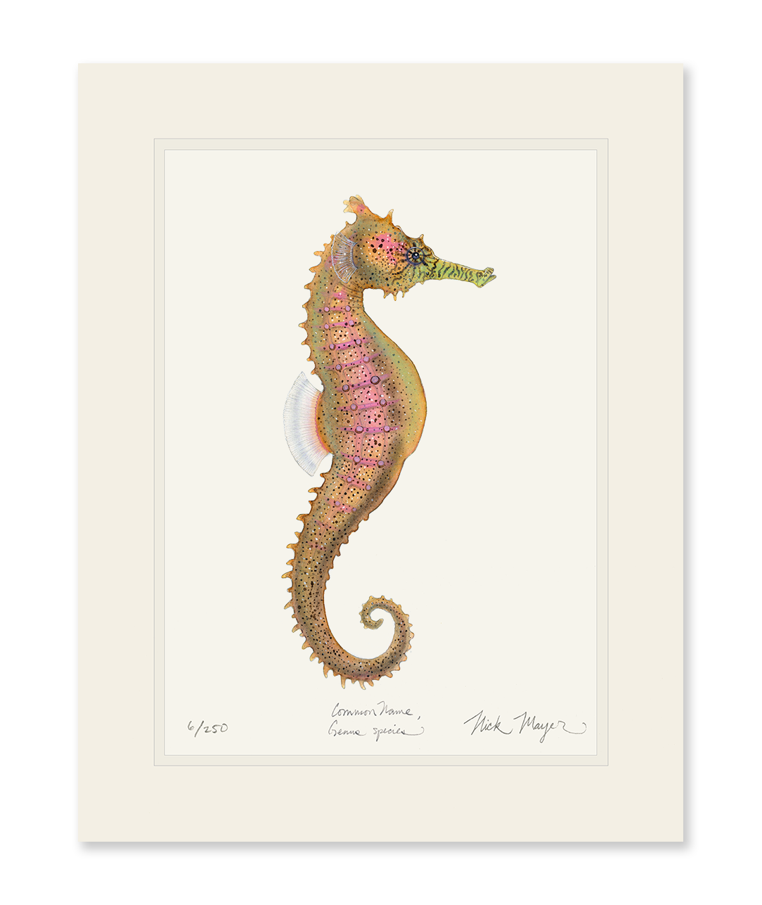 Estuary Seahorse Limited Edition Print