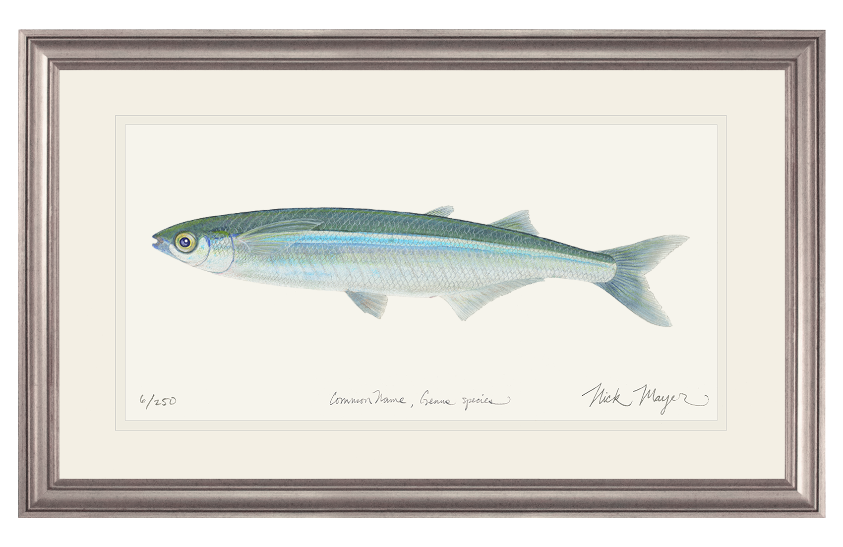 Smelt Limited Edition Print