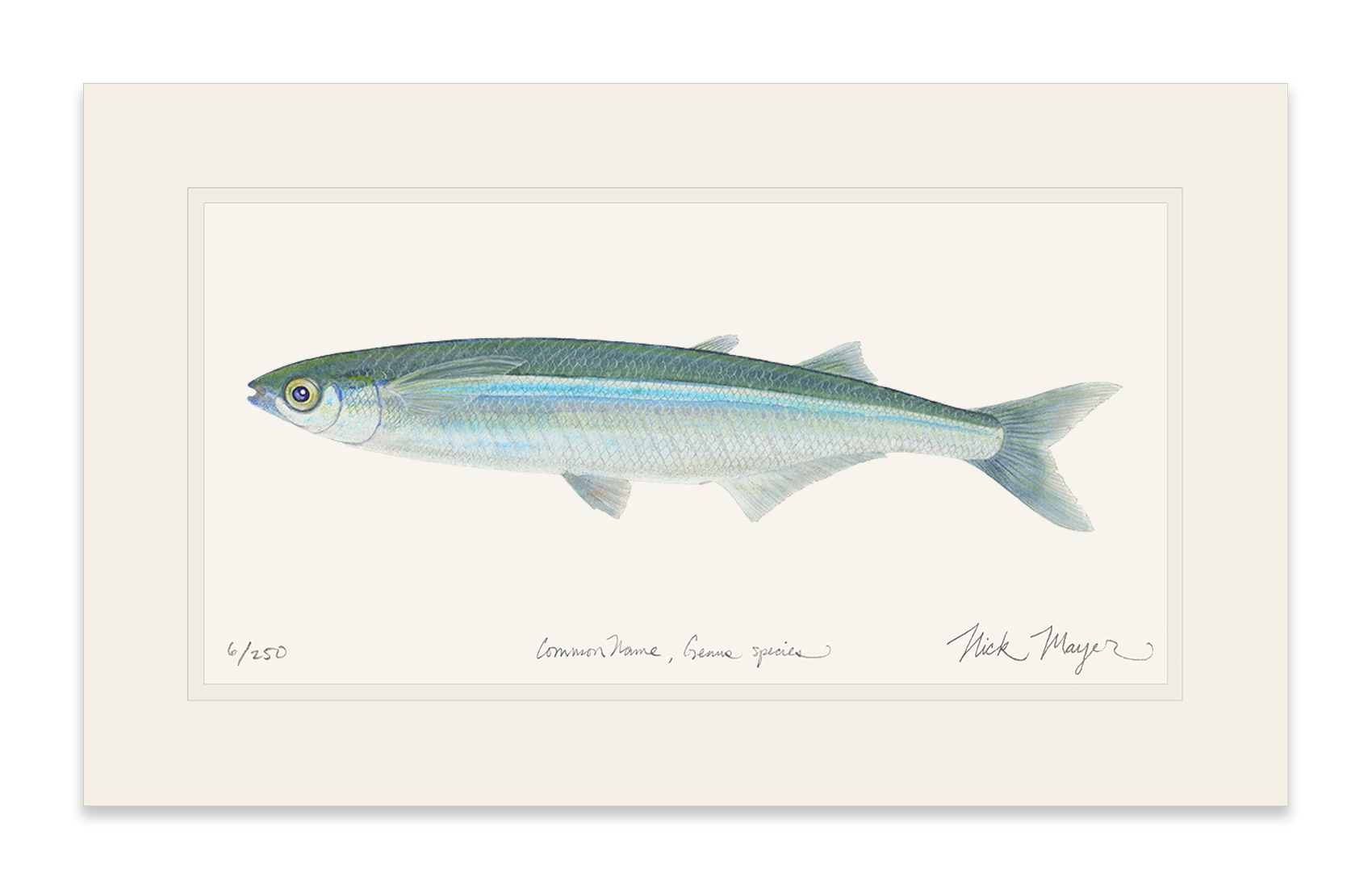 Smelt Limited Edition Print