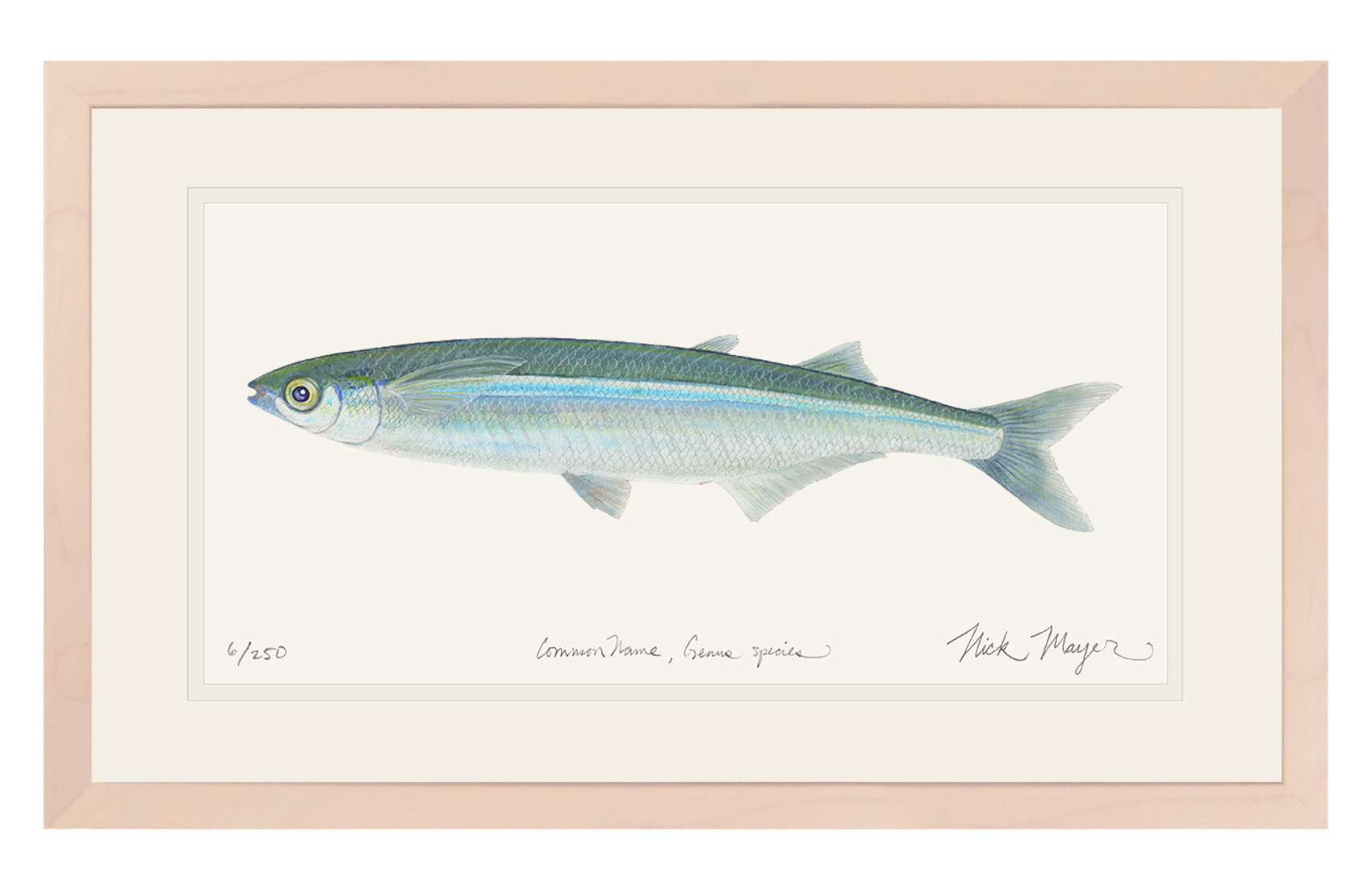 Smelt Limited Edition Print