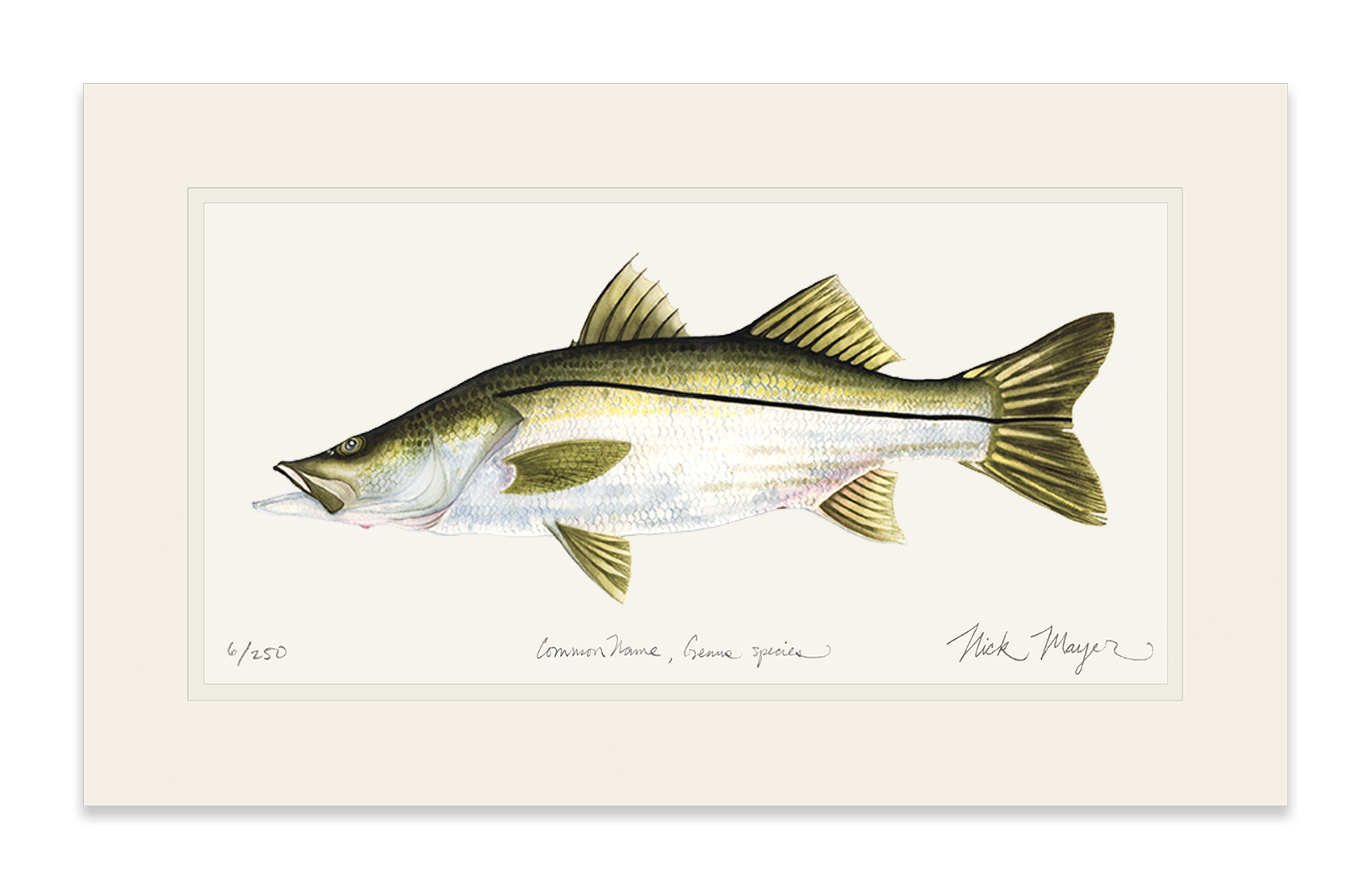 Snook Limited Edition Print