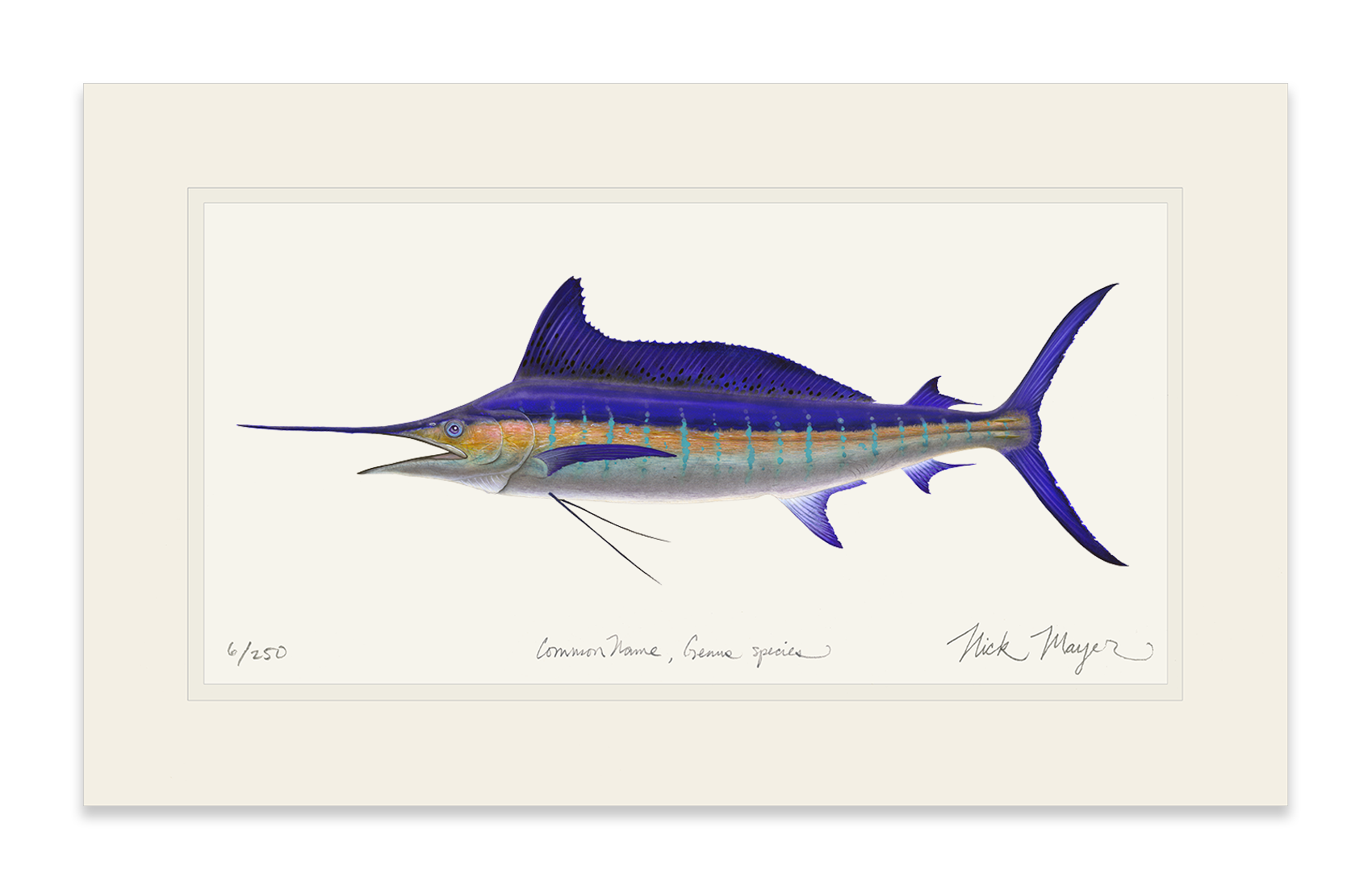 Striped Marlin Limited Edition Print