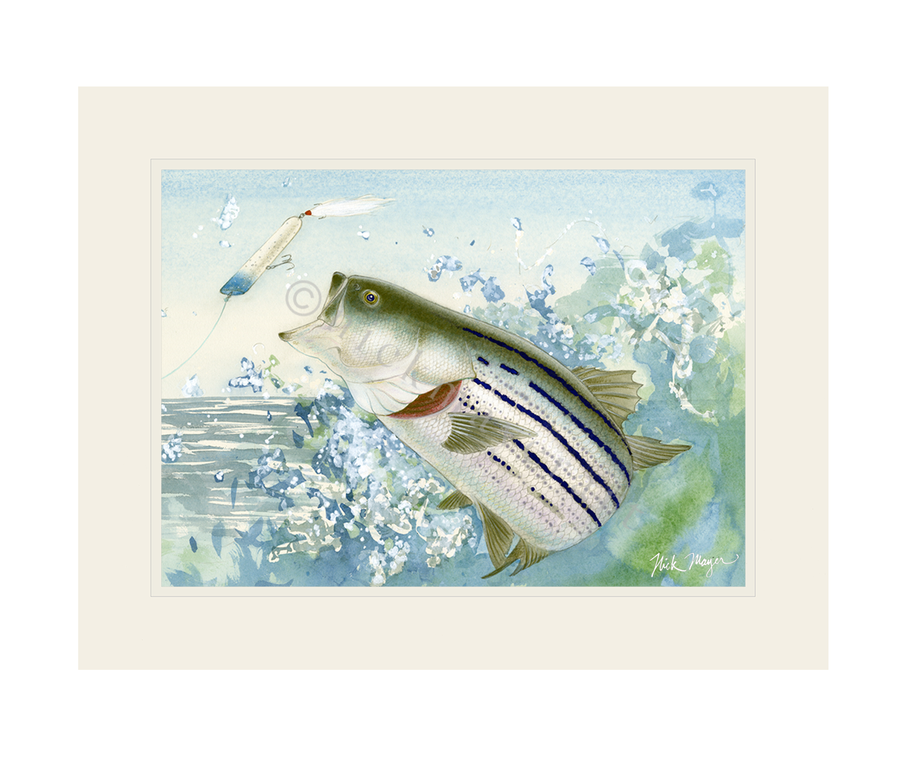 [New] Striper Fishing Shirts for Men with Striped Bass Fish Artwork X-Large / White