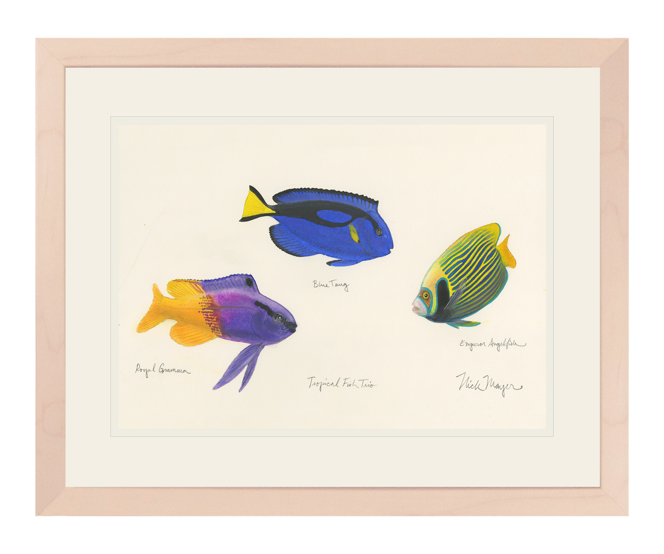 Tropical Fish Trio