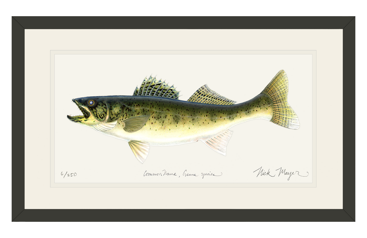 Artist Signed Walleyes For Tomorrow Prints “The Drifter” and “Pack Attack” sold