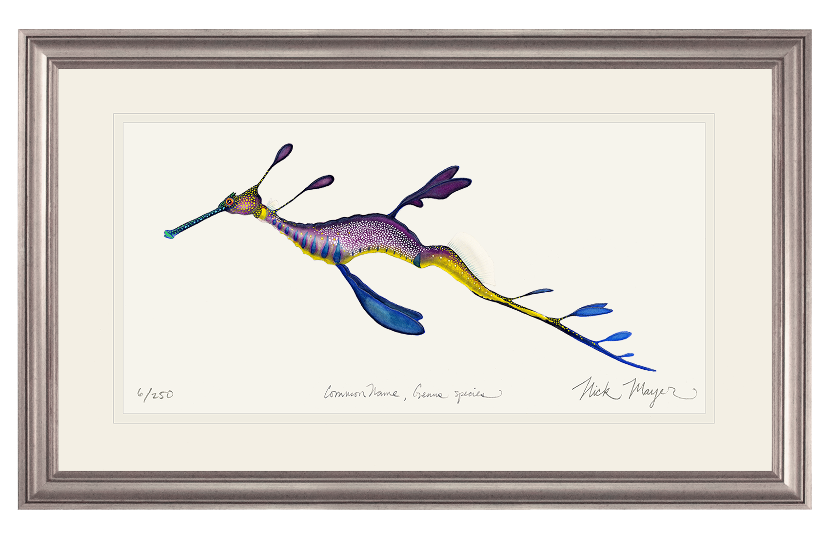 Weedy Seadragon Limited Edition Print