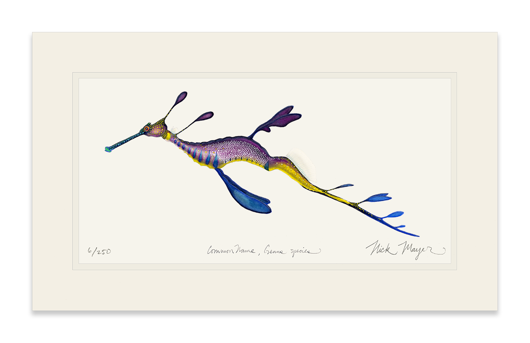 Weedy Seadragon Limited Edition Print