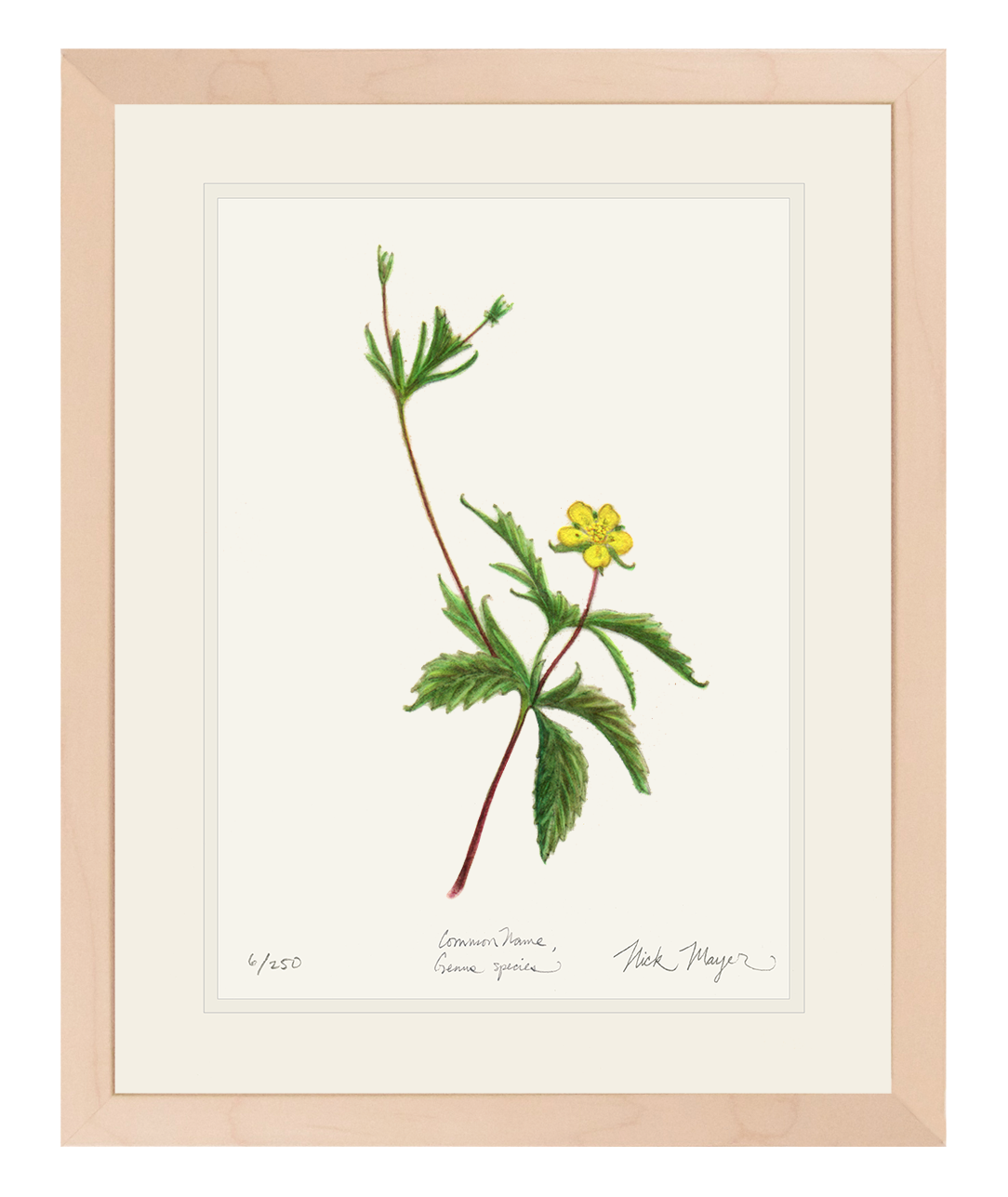 Elegant Wild Strawberry Print - Perfect for Nature Lovers