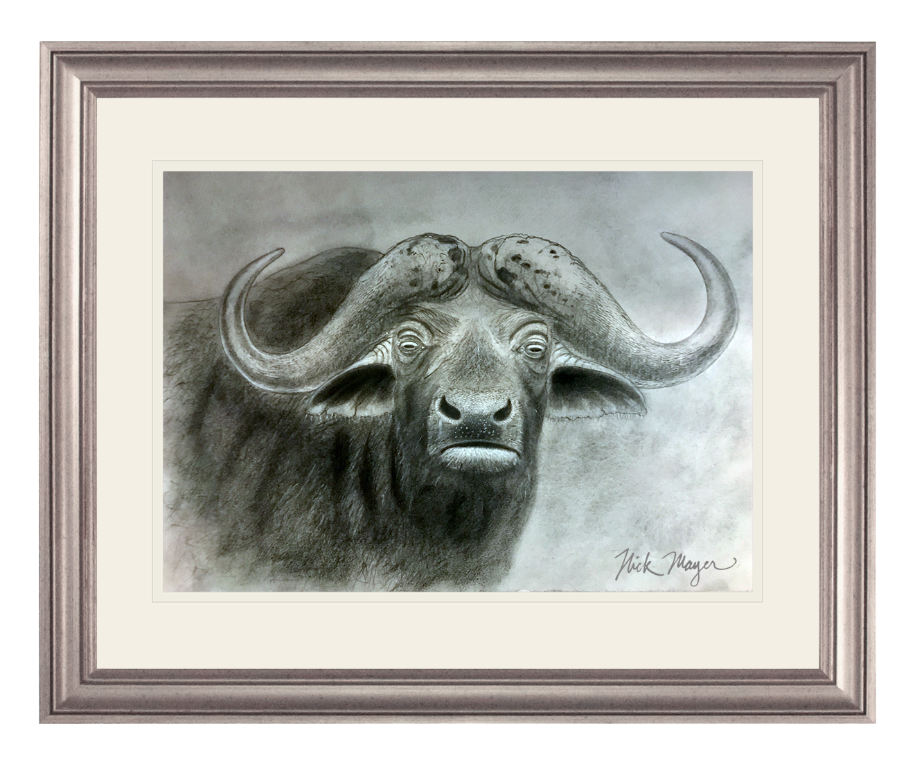 Cape Buffalo Limited Edition Print