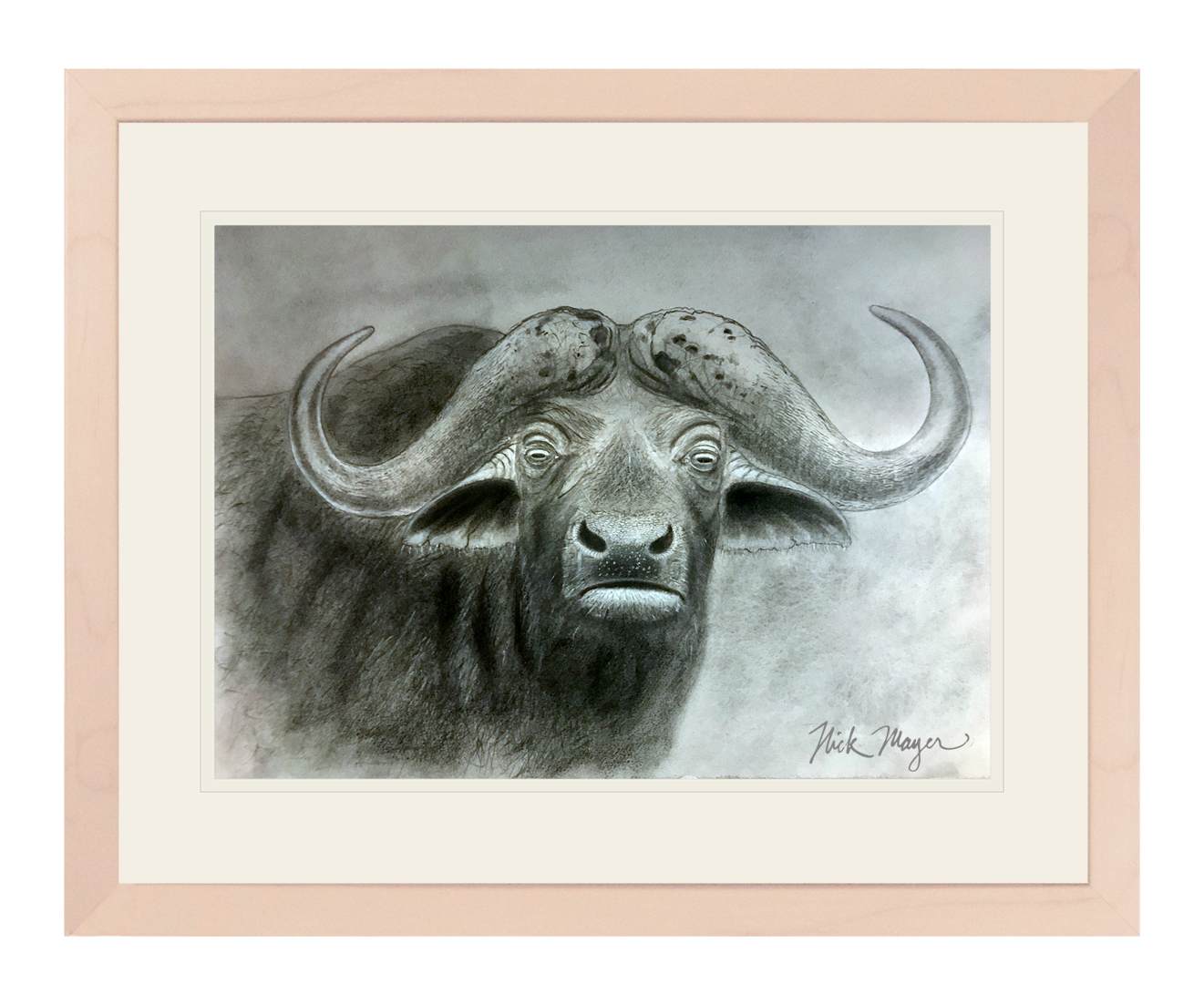 Cape Buffalo Limited Edition Print