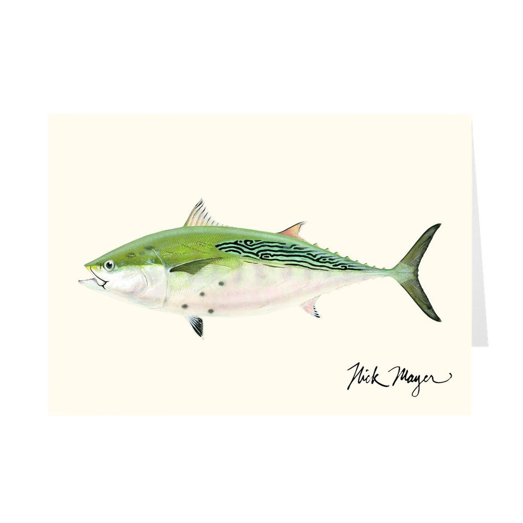 False Albacore IV Notecards