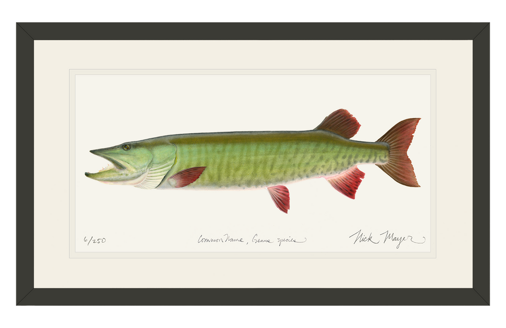 Musky Muskellunge fishing custom name with funny Muskie ChipteeAmz's art sun  protection fishing shirts AT042