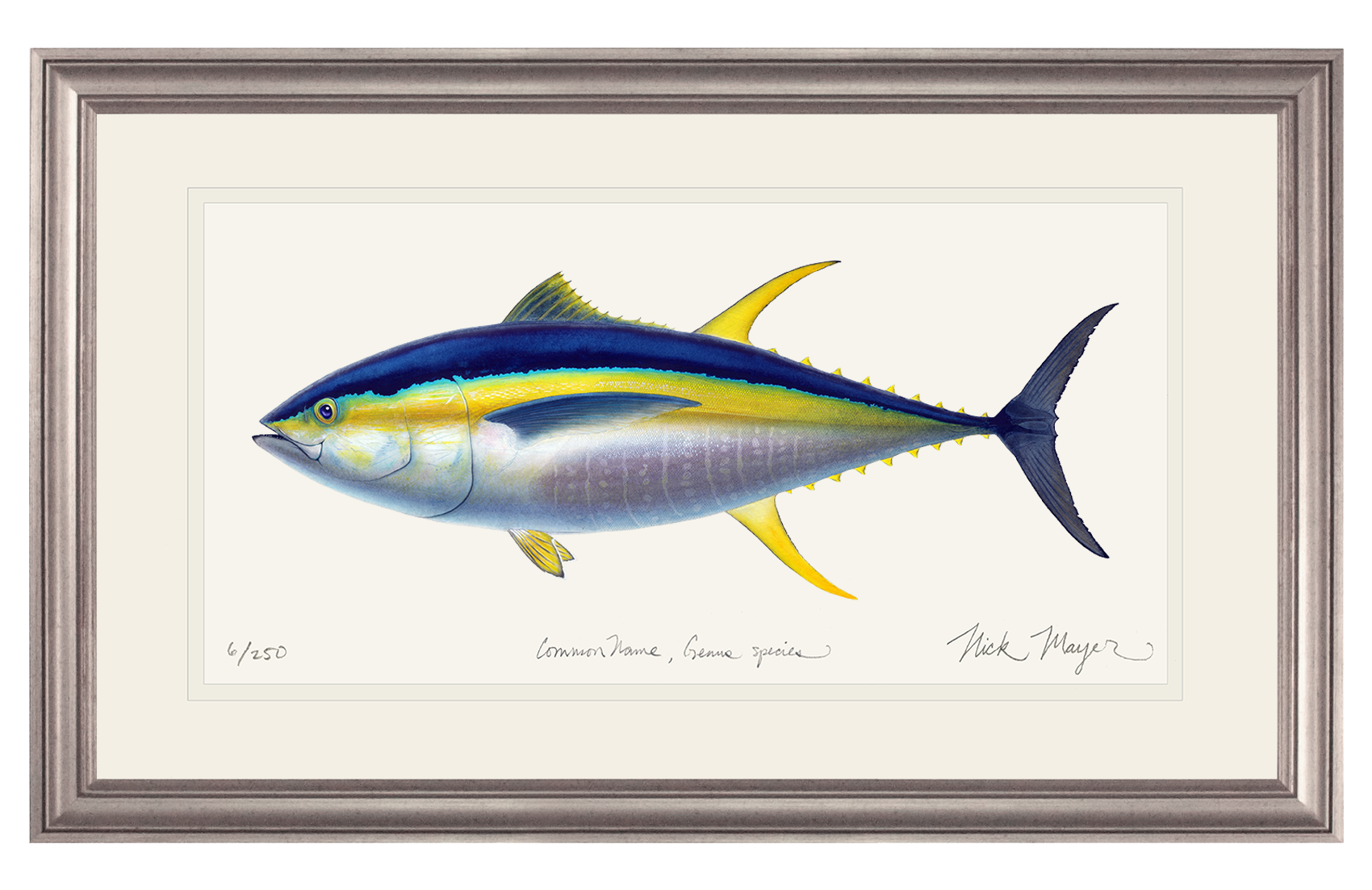 Yellowfin Tuna Limited Edition Print - Best Seller