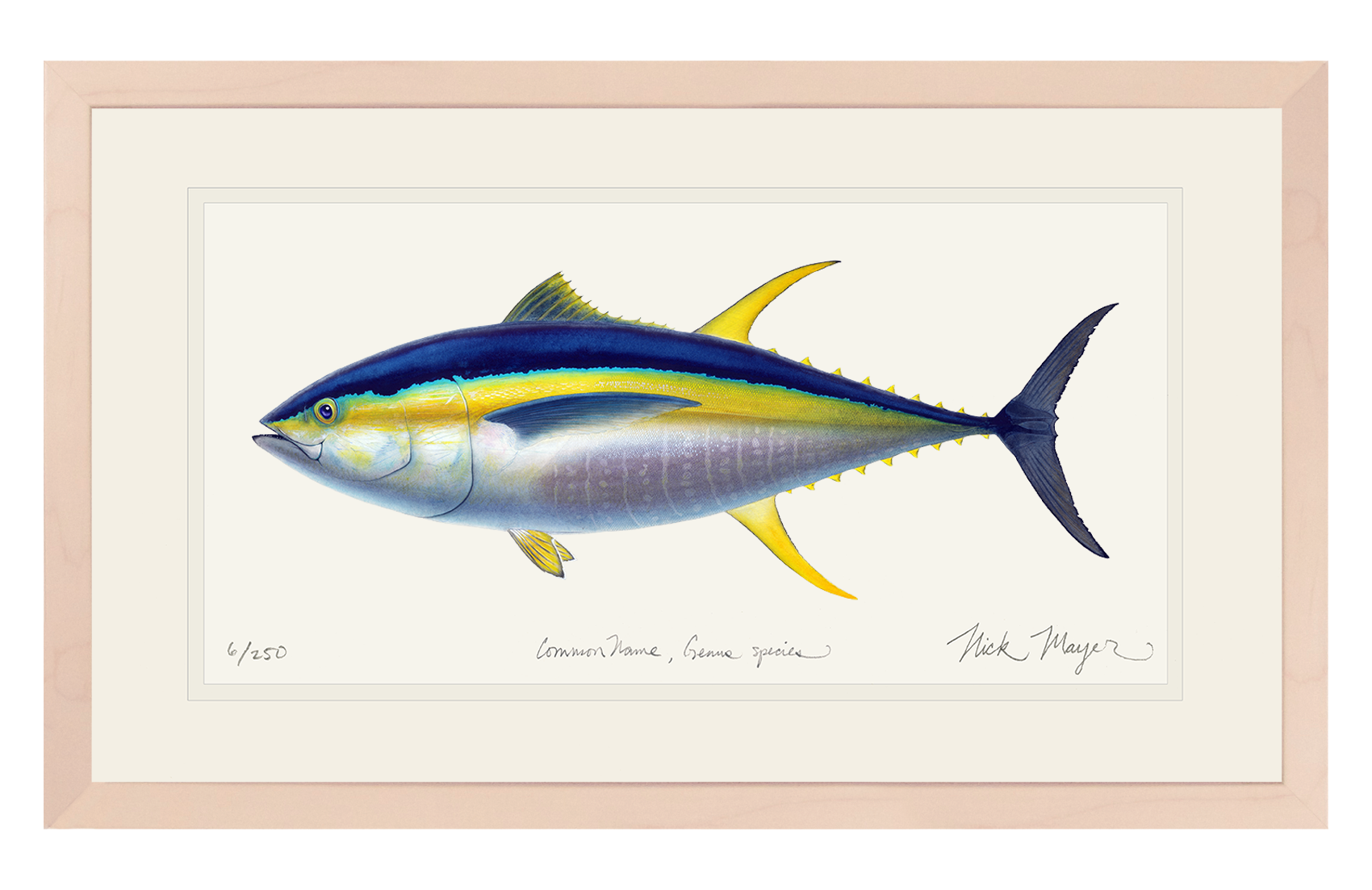 Yellowfin Tuna Limited Edition Print - Best Seller