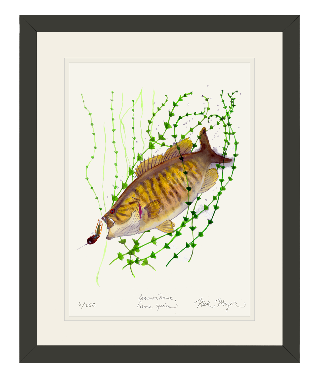 Smallmouth Bass Limited Edition Print