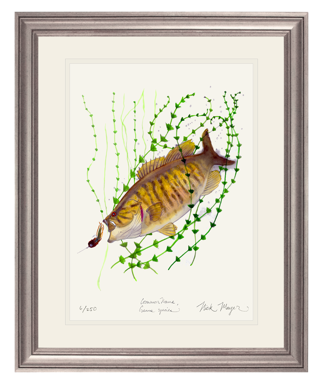 Smallmouth Bass Limited Edition Print