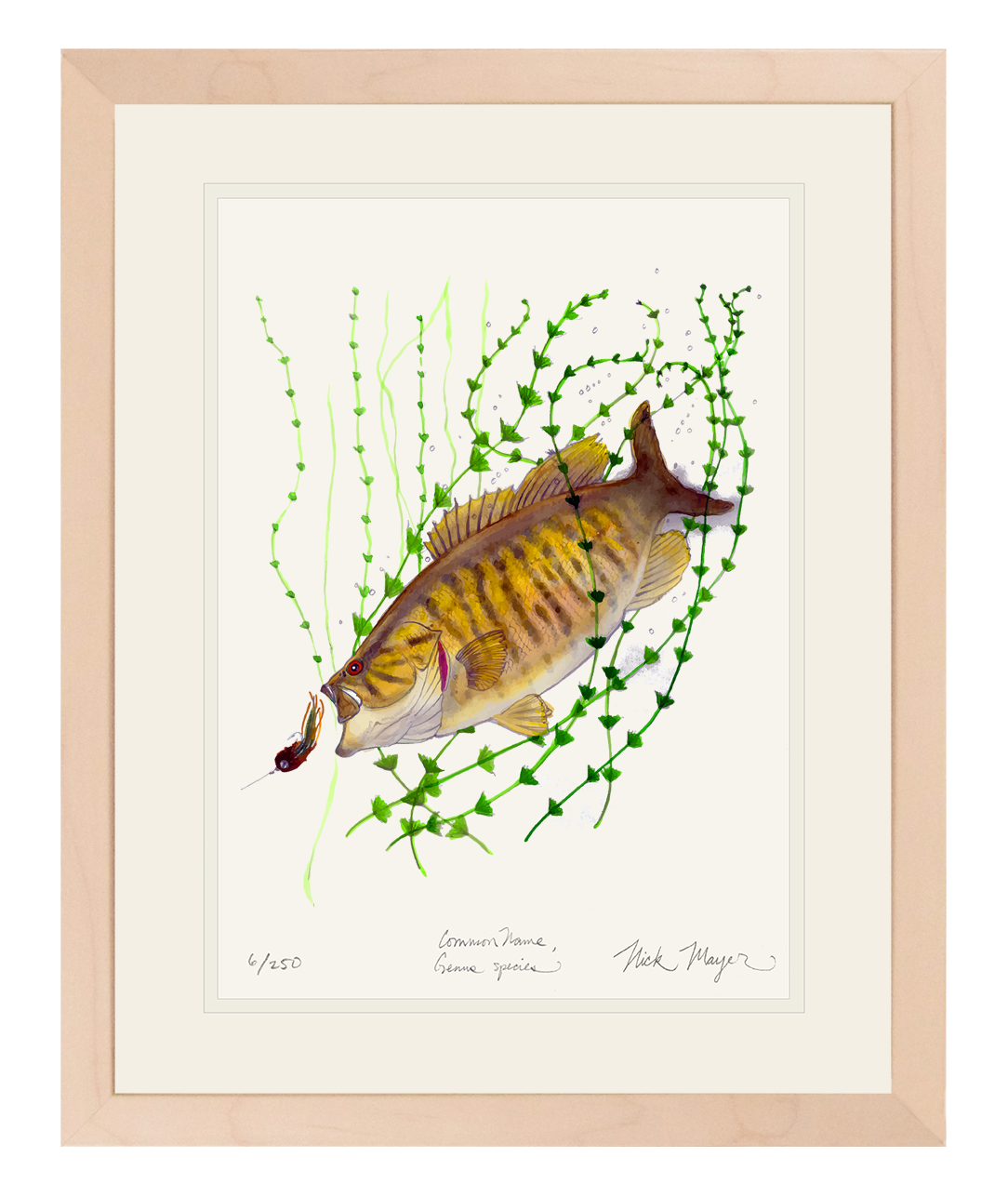 Smallmouth Bass Limited Edition Print